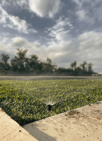 mantenimeinto_espacios_verdes_cordoba (4)