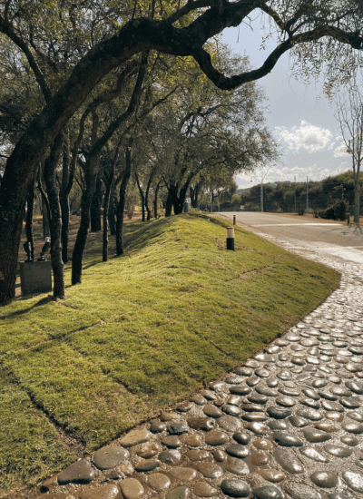 mantenimeinto_espacios_verdes_cordoba (6)