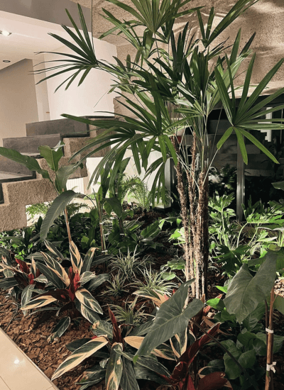 mantenimeinto_espacios_verdes_cordoba (8)