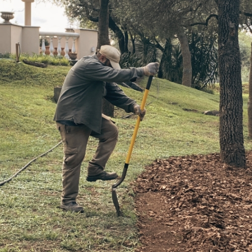 mantenimiento_espacios_verdes_cordoba (4)