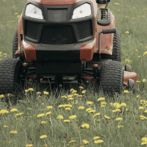 mantenimiento_espacios_verdes_cordoba (7)