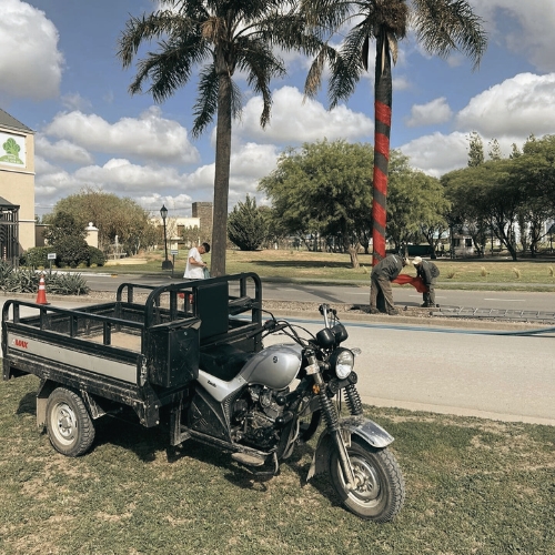 mantenimiento_espacios_verdes_cordoba (8)